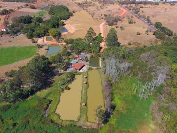 Chcara - Venda - Jardim Panorama - Araguari - MG